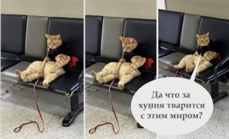 Виртуальные красавицы и их создатели получат свой «Оскар»