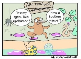 Нападение питона на кошку попало на видео