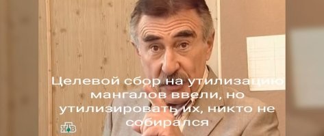 В России предложили ввести целевой сбор на утилизацию одноразовых мангалов