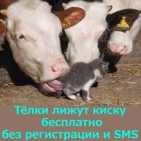 Просто гифки, всякие и&nbsp;разные