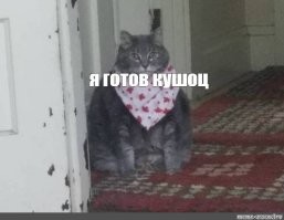 Забавная реакция пса, услышавшего слово "курица"