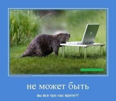 В Оренбурге мужчина «нашёл виноватого» в разрушении дамбы и порче дороги