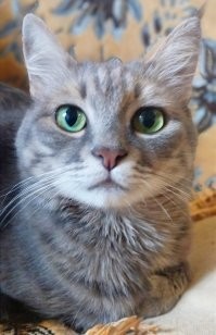Плевала я на ваш список