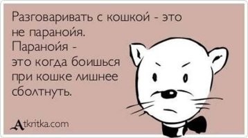 Лёгкая паника, перетекающая в паранойю