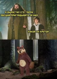 Фанатам Гарри Поттера посвящается: упоротые мемы о вселенной Гарри