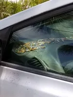 Это, вообще, законно?..