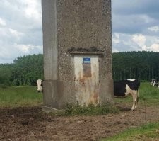 Стоп-кадр