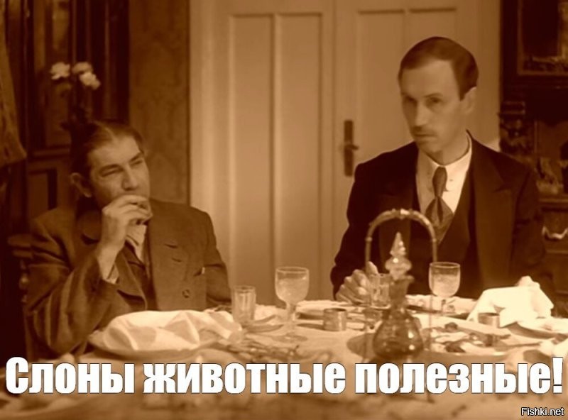 Шутник научил слона плохому