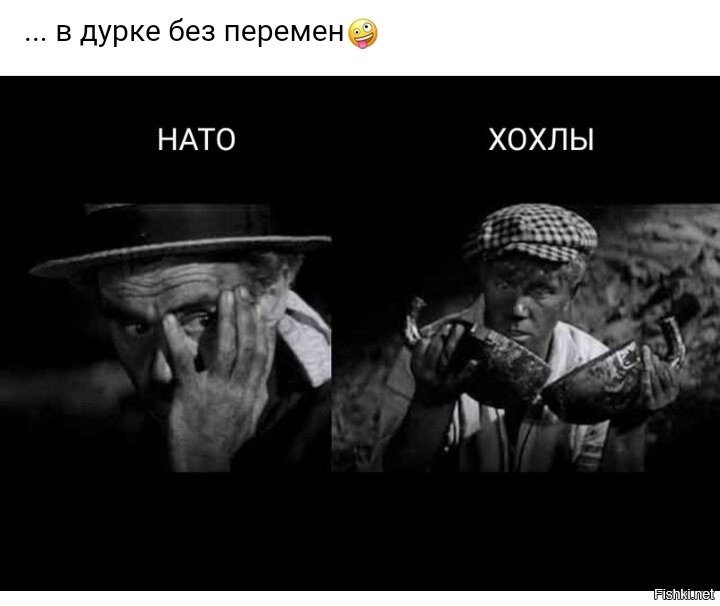Пишите шура пишите. Паниковский пилите шура пилите. золотой теленок пилите шура. шура пилите гири они золотые. пилите шура пилите они золотые.