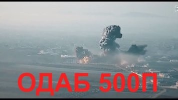 С такими жуткими тварями остается один метод. Главное перед применением уцелевших жильцов увести подальше