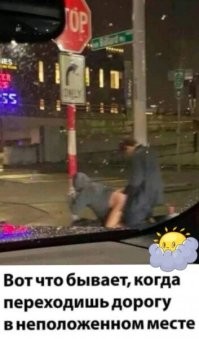Не переходи дорогу как ТП из Владивостока!