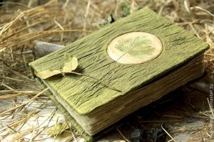 Обычный травник, коих в те времена было полно. Написан на тарабарщине с зарисовками необычного, чтоб была возможность продать богатому феодалу со словами "тут содержится секрет эликсира бессмертия",  "если разгадать древний язык, то можно править миром."
И втюхать наивному богачу за кучу золота, попутно соврав, что эту книгу вывез из Константинополя смертельно раненый рыцарь и передал тебе,  прокряхтев перед смертью.. "Грааааль".
В идеале ещё сделать вид, что часть ты уже разгадал и записаться на службу к этому феодалу придворным книжником, и за дополнительную нехилую ЗП в отдельном имении сидеть и "разгадывать древнюю рукопись". А там, либо ишак, либо падишах подохнет. 
В общем, серьёзного изучения этот манускрипт не выдерживает, так как в иллюстративной своей части, преисполнен фантастическими зарисовками, а вот как качественно сделанная бутафория, для мошенничества - вполне себе годный вариант. Тем более, это явление - продажа травников, рецептов зелий, карт сокровищ, патернов секретных ритуалов итд , в те времена было просто поставлено на конвейер.
Рукопись Войнича - это курсы "успешного успеха", от современных инфоцыган.