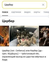 Намешалось&nbsp;