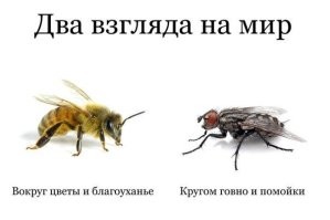 22 неизвестных факта о фильме «Мистер и миссис Смит»