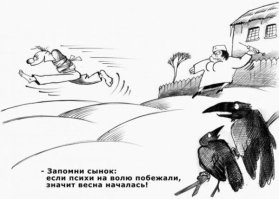 Екатерина Мизулина написала заявление в полицию на блогера, который призывал женщин ходить голыми и бросался под газонокосилку
