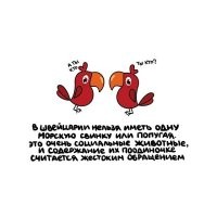 А если показать справку, что мой попугай интроверт и социофоб?