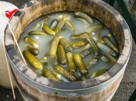в них мужиков побывало, как огурцов в этой бочке.......
