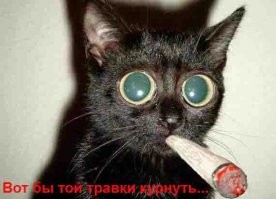 С теплотой из СССР: незаезженные кадры совсем другой жизни