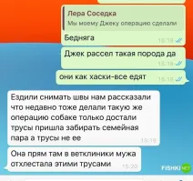 Можно подумать собака трусы только дома могла сожрать.