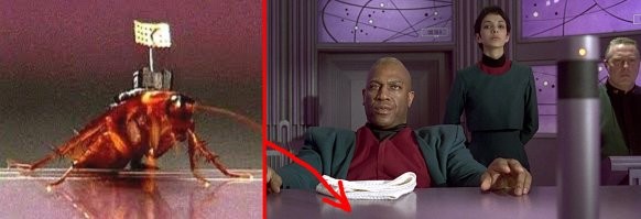 В Сингапуре создали рой тараканов-киборгов на дистанционном управлении