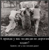 Нашествие медведей в Сибири