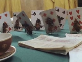 В Сингапуре создали рой тараканов-киборгов на дистанционном управлении