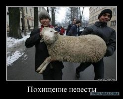 и ведь ктото залез на нее еще...