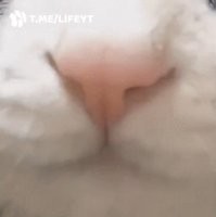 Просто гифки, всякие и&nbsp;разные