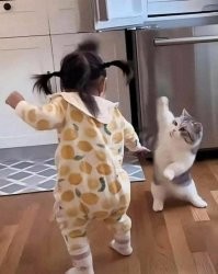 Приёмы котопашного боя