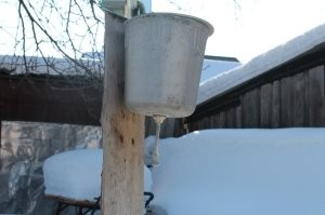 У тещи в деревне