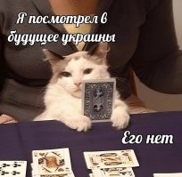 Политический мониторинг (304)