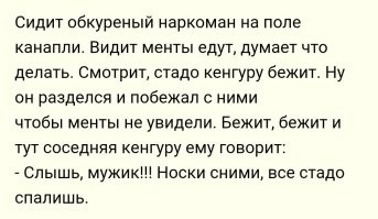 Российские подростки-"квадроберы" бегают по улицам на четвереньках, мяукают и кусаются