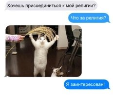 Секта: как это работает и что с этим делать