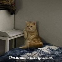 Хорошо. Но тогда рабочей будет суббота. А, не, и понедельник тоже.