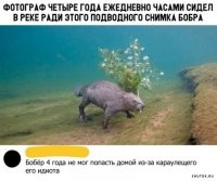 4 года фотограф говорил: "Где же ты, курва?"