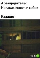Это конь Юлий из "три богатыря"