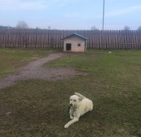 У меня попроще, но зато утеплённая.
