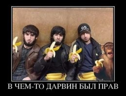 Сотрудники хлебокомбината устроили потасовку в Подольске