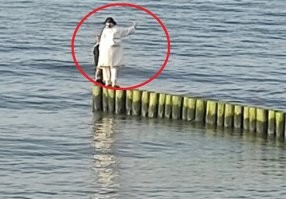 Вот же дебилка. Псинку жалко. У нас тоже вот такие идиоты по волнорезам ходят. Ради фоточек. Сколько уже падали оттуда, телефоны топили в ледяной воде купались, калечелись и даже гибли. И не переводятся дебилы. Иные детей тащут туда. Недавно она такая дура пыталась в нашей городской группе доказать что эти "пенёчки" дорожка в море для прогулок.  Гляньте на фото. Разве нормальный человек подумает что это такие дорожки для прогулок туристических в море?