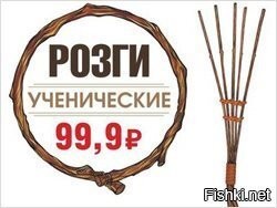 Пора вводить...