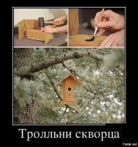 Попытка кота запрыгнуть в нарисованное отверстие