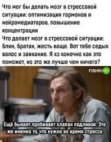 Всё можно натренировать. Насчёт гормонов не скажу, но запрограмировать тело на выполнение определённых действий, вполне себе реально.
