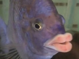 Это как повезёт..