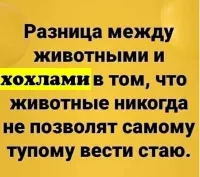 Что-то мне подсказывает, что он у них как раз самый умный. По сравнению с остальными, конечно.