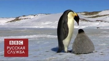 Накуя? Скорее всего ради хайп... не, ради грантов.
Давно же ж есть роботы-шпионы. Даже фильмы есть.