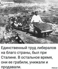 Политический мониторинг (307)