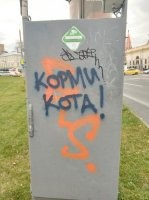 Кот пытается взломать автокормушку