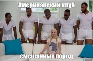 11 недавно выведенных пород собак, о которых вы никогда раньше не слышали