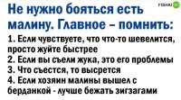 Не рассмотрен случай с медведем в малине