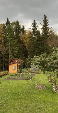 Интересно, что они лишнее из скворечника убирают. И где продолжение с вылуплением?
На даче с сыном делали скворечник два года назад, почему-то на постоянку так никто и не заселился, в прошлом году заглядывал туда, видно, что нанесли утеплителя подобного, как в видео.